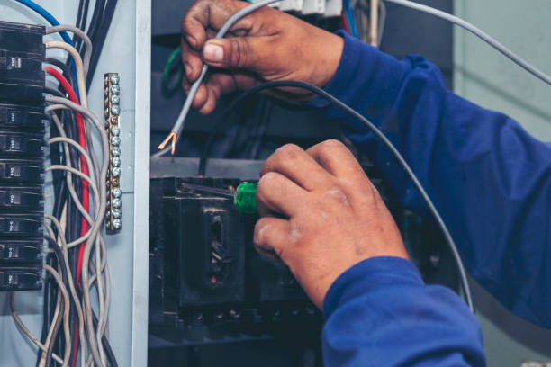 Best Local Electrician Companies  in Wartburg, TN